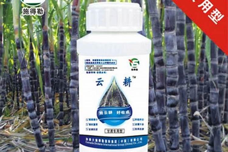 甘蔗施什么肥长得最快