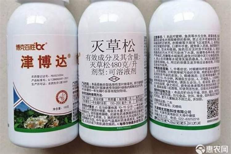 水稻什么时候打农药