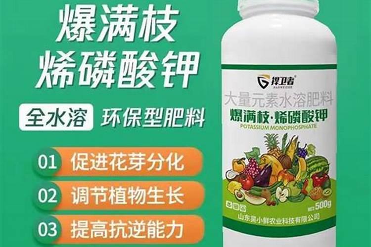 什么磷肥好
