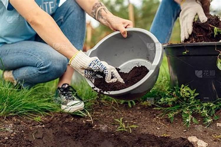 农家肥中有那些元素