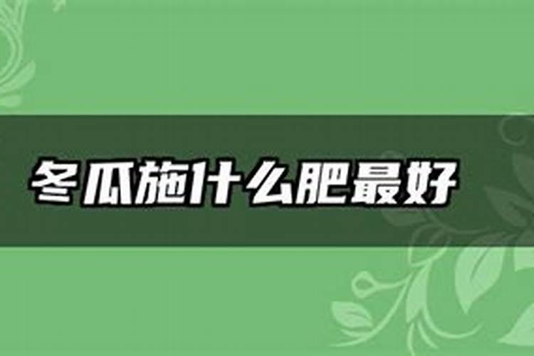 冬瓜最好的肥料是什么？
