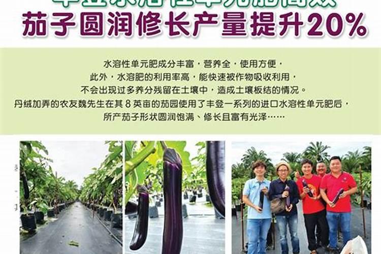 效果好的水溶肥是哪家