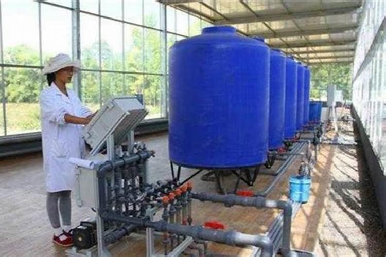 k2o是什么元素肥料 钾肥对植物生长有什么影响