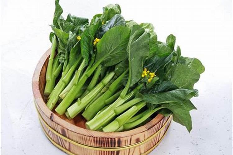 芥兰叶子发黄是什么毛病？