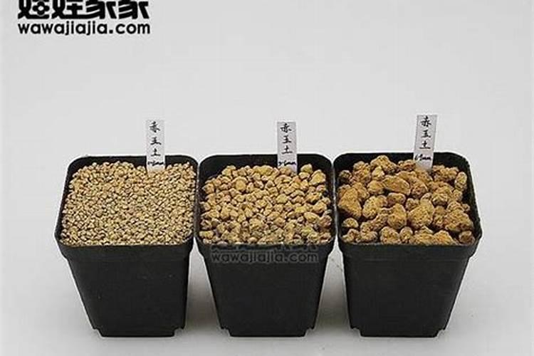 多肉用什么肥料比较好 多肉肥料的选择
