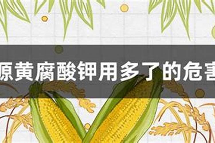 黄腐酸钾过量使用危害 需要注意什么