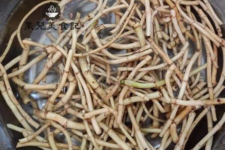 种植业折耳根怎么种才高产 种植业折耳根如何种才高产