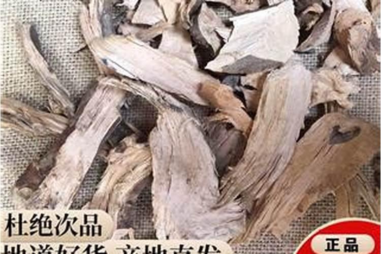 广西桉树肥十大排名