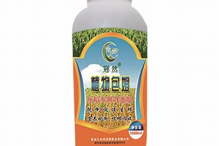 观叶植物专用肥料是什么