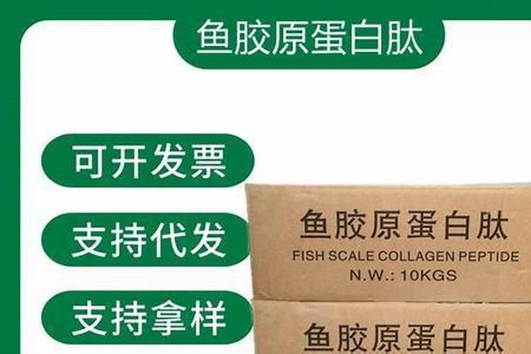 鱼蛋白的意思是什么