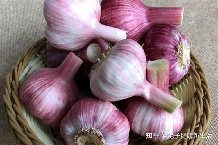 大蒜优质高产栽培新技术 大蒜施肥方法