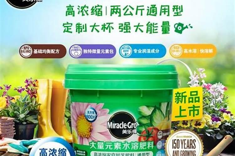 一盆花放了20粒复合肥会怎样盆栽菊苗如何使用史丹利,复合肥要怎么使用...