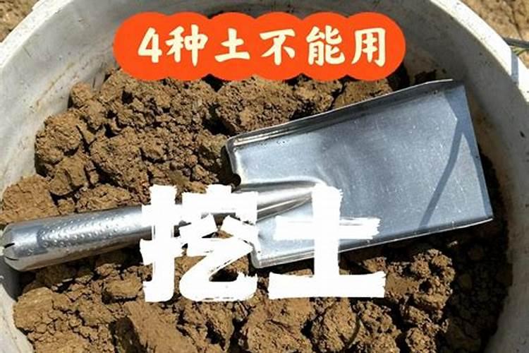 磷肥撒在地表面可以吸收吗 肥料撒在土壤表面可以吗