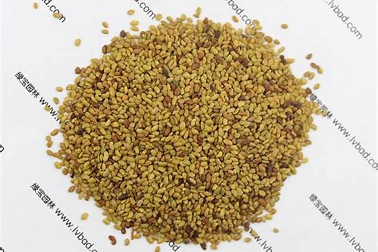 施什么肥可以促进开花施什么肥能促进开花