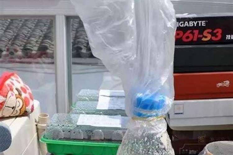 饼肥是氮肥还是钾肥