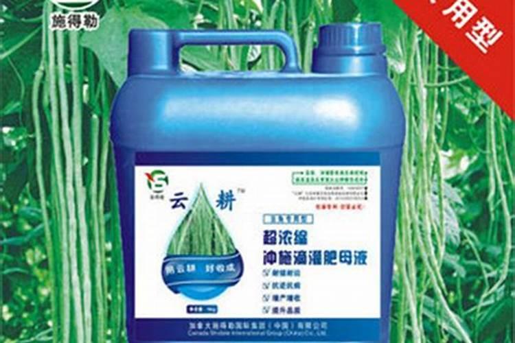 种豆角用什么肥料