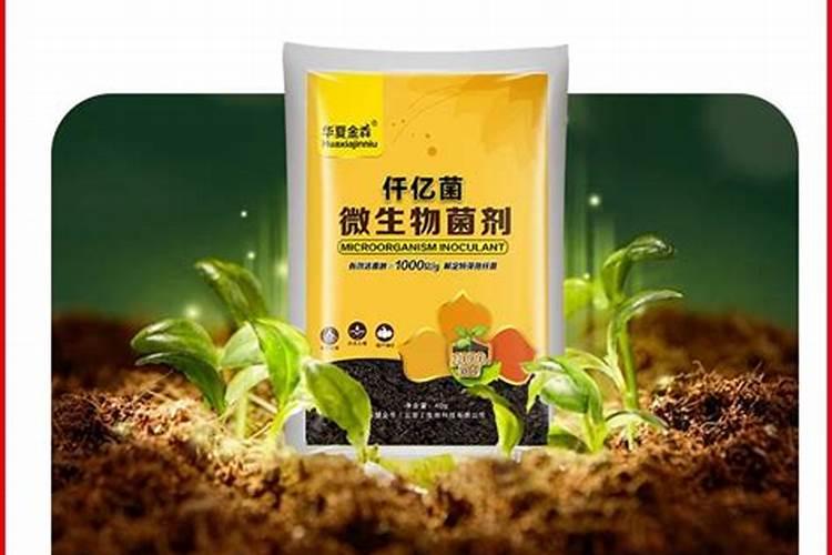 果树施硼肥怎么操作？果树施硼肥有什么用？