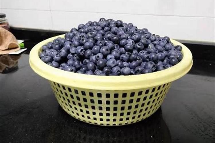 我刚种下的蓝莓要怎样施肥