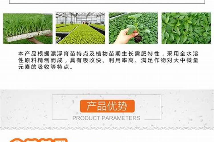 什么肥料使树木长粗