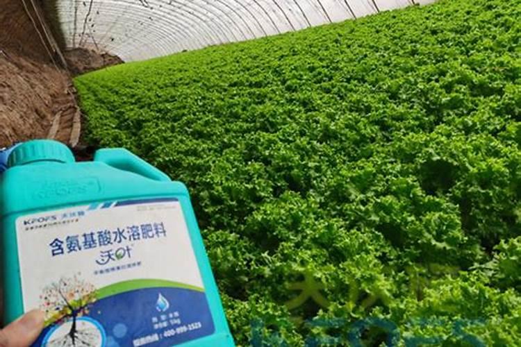 氮肥的使用与注意事项