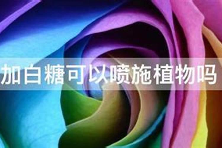 什么是黄腐酸钾,在植物生长中其到什么做用？