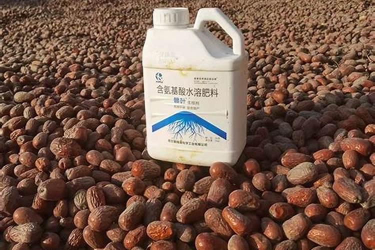红枣使用什么肥料好,