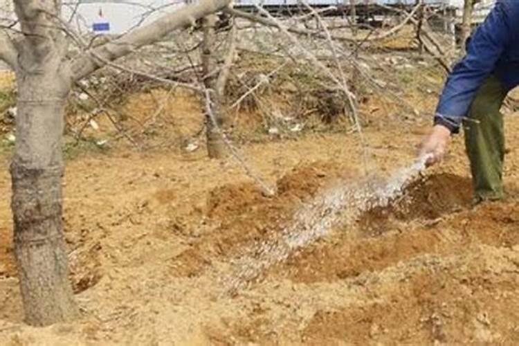 高密市荣基水泥有限公司电话是多少？