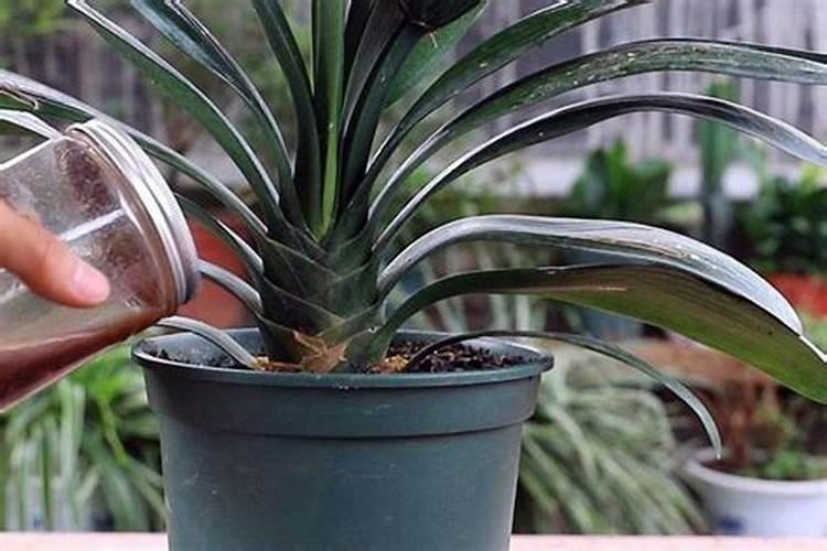 矿源黄腐酸钾颗粒水溶肥,矿源黄腐酸钾每吨价格,改良土壤用矿源黄腐酸...