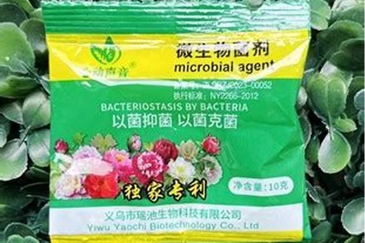 氮气有毒吗？它为什么可以用来食品防腐？
