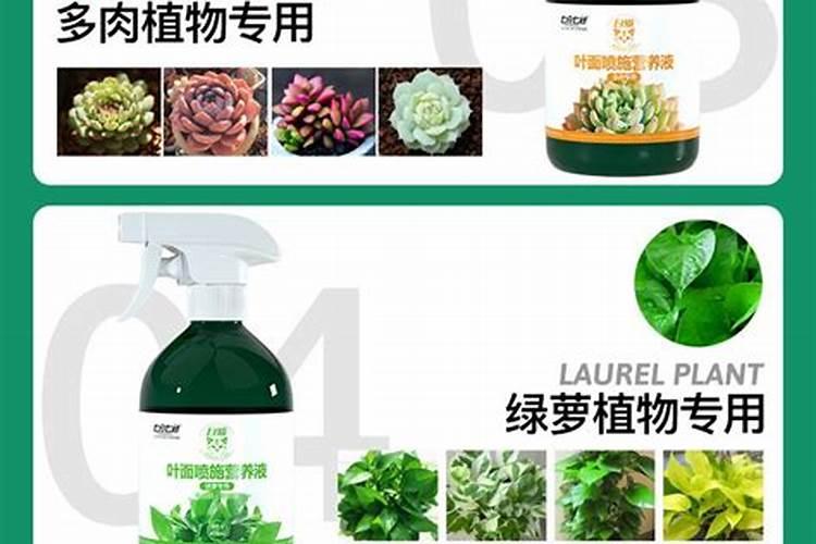 超市买的套装花种,里面带了一小包花肥是绿色颗粒状的,用水泡也泡不开...