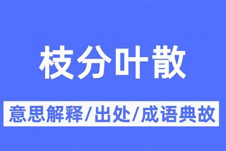叶绿素叶面肥喷在秧田里能用几次吗？