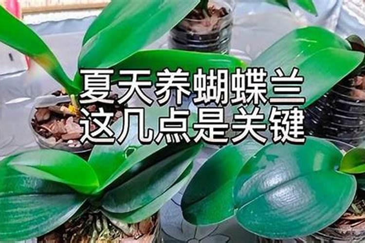 春天正在施肥不要买氮磷钾肥你可以自己在家做!