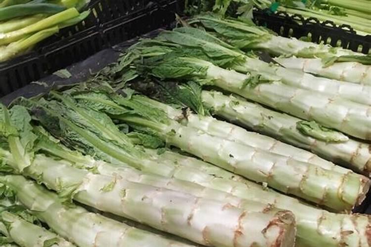 莴笋在我国的栽培面积是非常大的,莴笋怎么施肥成效好？