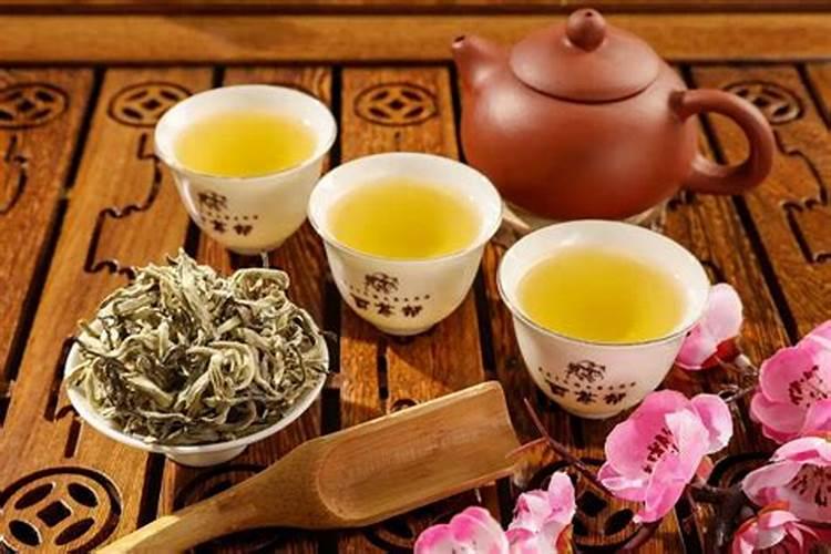 种植茶叶注意事项
