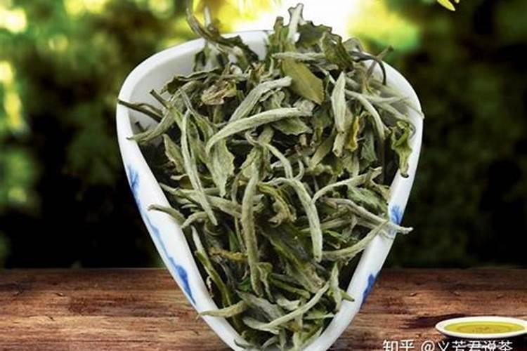 无公害茶叶怎么施肥？详解无公害茶叶施肥技术