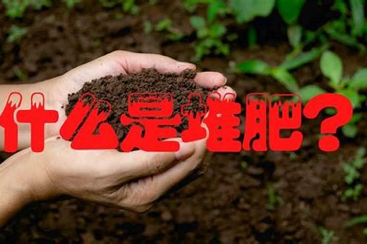 垃圾堆肥的好处 垃圾堆肥是什么意思