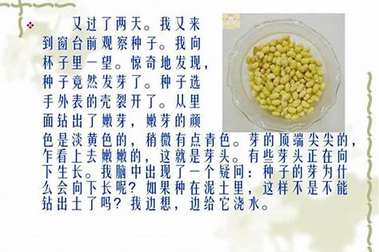 大豆什么时候追肥合适？