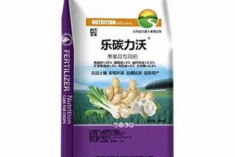 大葱育种基础技术点,种葱新手必看