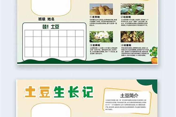 土豆喷施什么肥料好？土豆用什么叶面肥好？