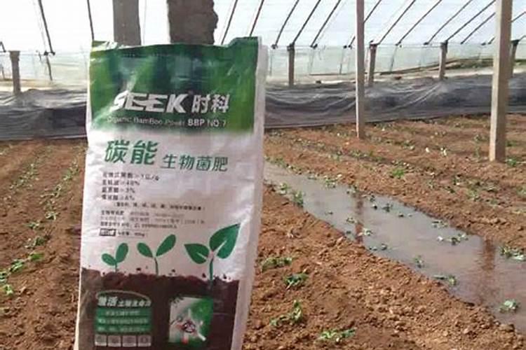 茶叶叶面肥催芽肥的正确使用