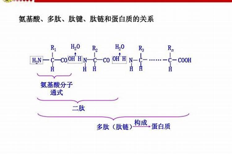 小麦叶面肥与氨基酸叶面肥好还是多肽鱼蛋白好