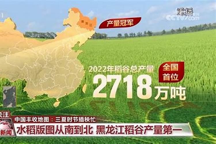 水稻分蘖期用什么叶面肥好