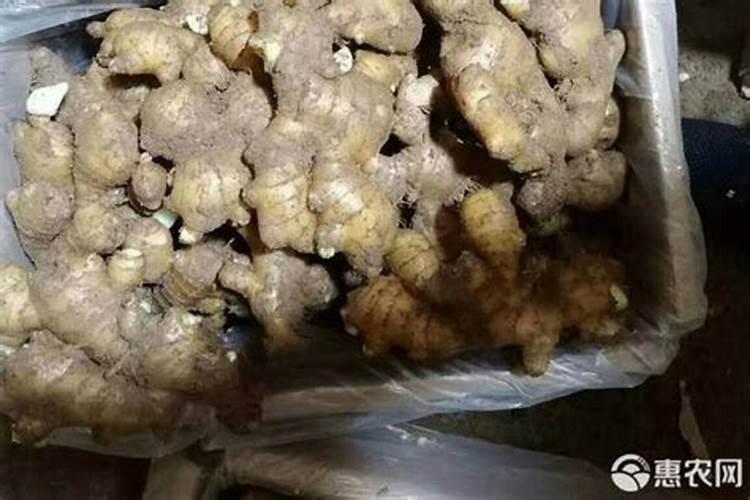 生姜用什么肥料做底肥最佳