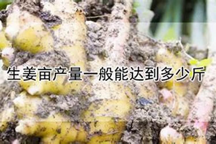 大姜种植的时候,怎么样施肥对大姜生长有利？