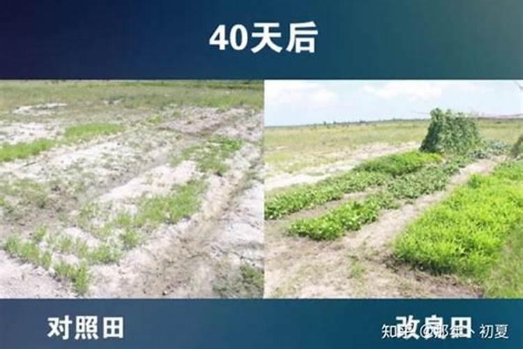 盐碱地如何改良？