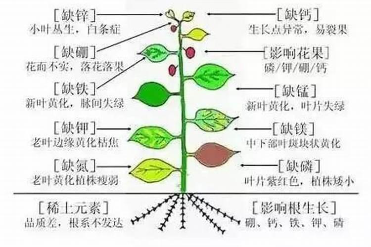 如何判别中微量元素的丰缺
