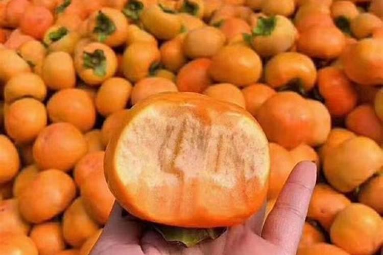 缺锌是扼杀味蕾的“元凶”,孩子该补锌了!修正育儿知识分享!