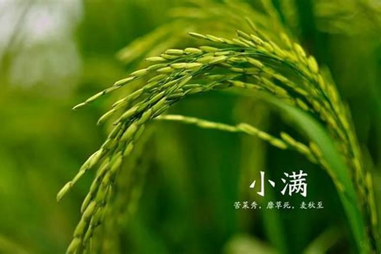 小麦小满前后还能浇水吗