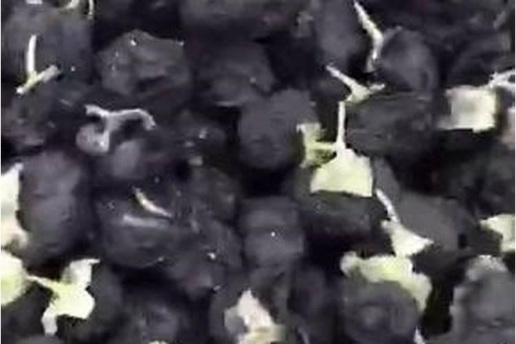 吃龙利鱼有好处吗 需要注意什么