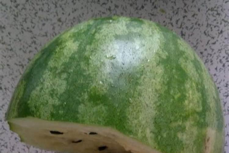 打瓜如果枝叶太过繁盛,怎么补救,因肥料滴的太勤,使打瓜长荒了